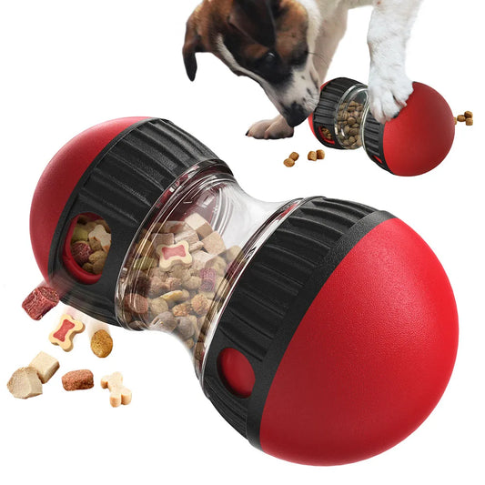 Bone Chew Toy & Treat Dispenser