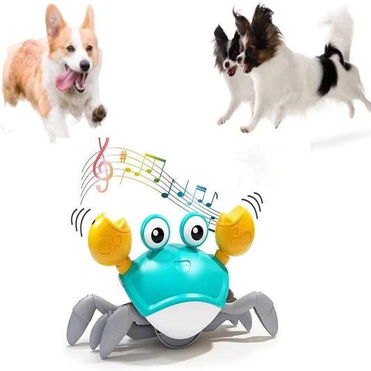Engaging and Interactive Dancing Crab Dog Toy with Musical Sounds