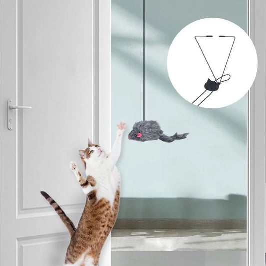 Doorframe hanging cat teaser toy
