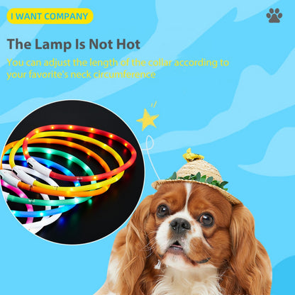 Led Glowing Dog Collar Pet