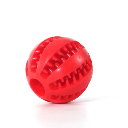 Durable Dog Chew Toy