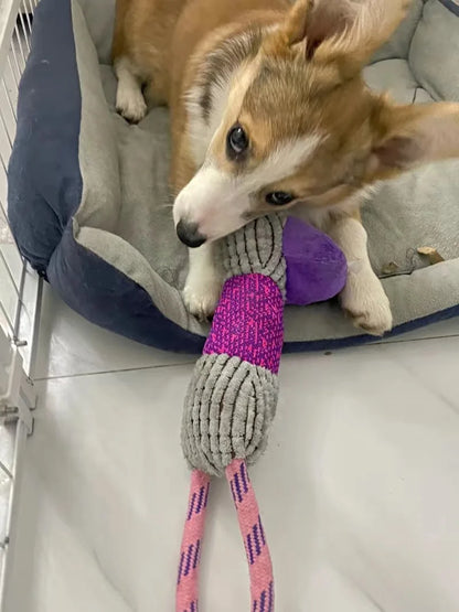 Dog Chew Toy with Handle