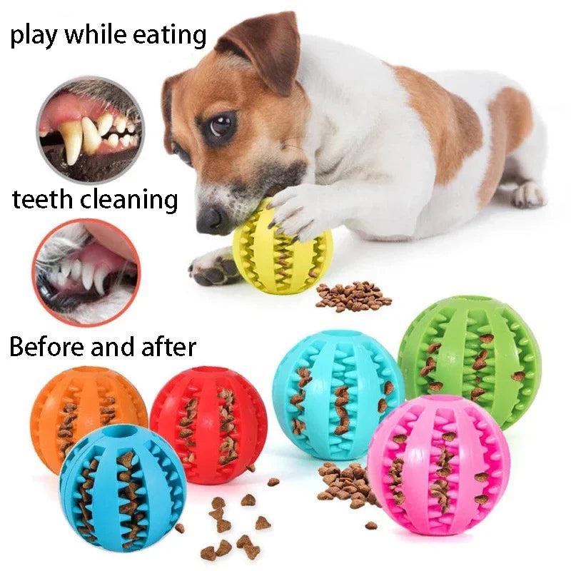 Durable Dog Chew Toy