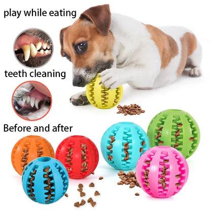 Durable Dog Chew Toy