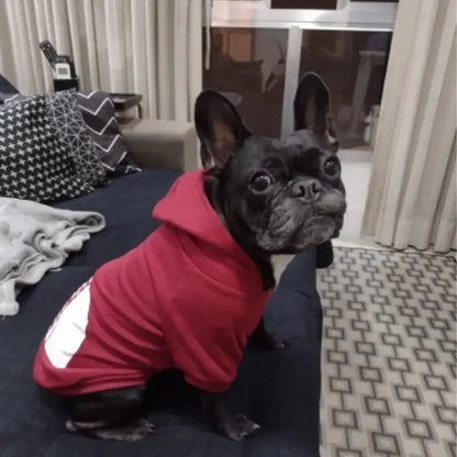 Trendy Hoodie for dogs