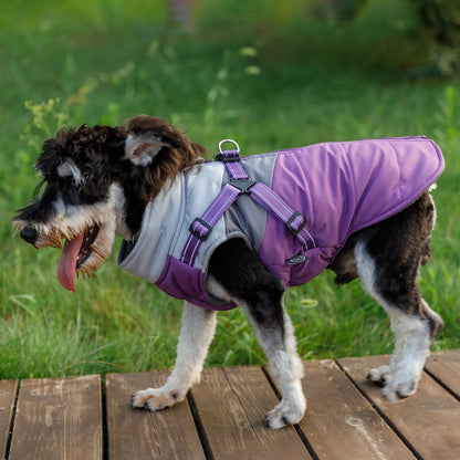 Winter Dog Jacket