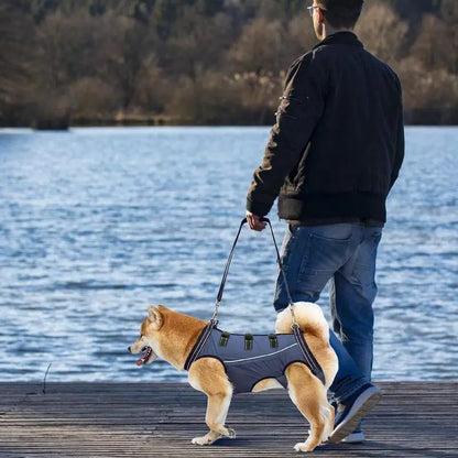 Adjustable Dog Lift Harness