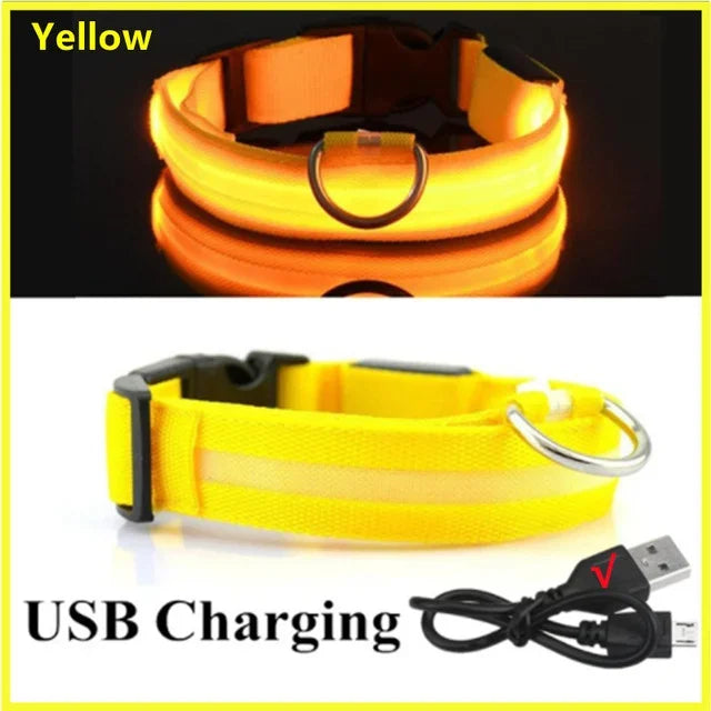USB-Rechargeable LED Safety Collar