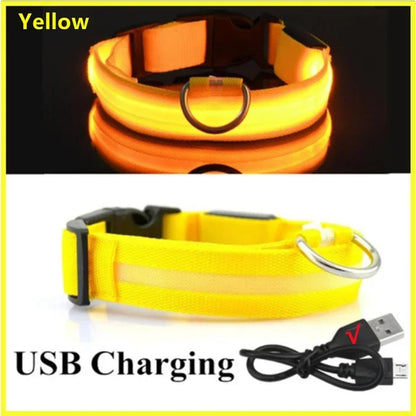 USB-Rechargeable LED Safety Collar