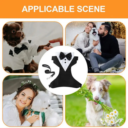 Dogs Tuxedo Wedding Party Suit