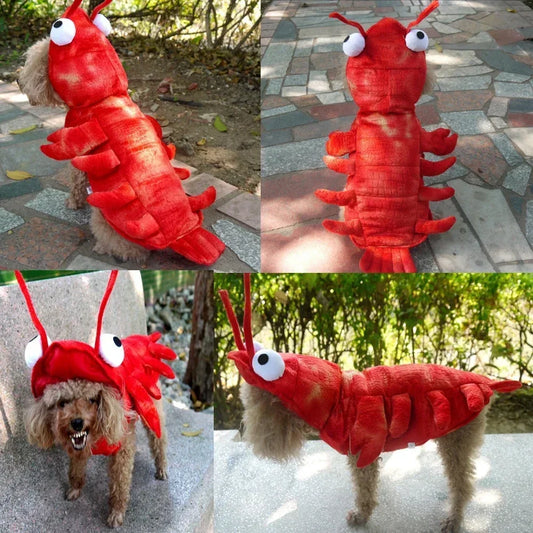 Halloween Dog Lobster Costume