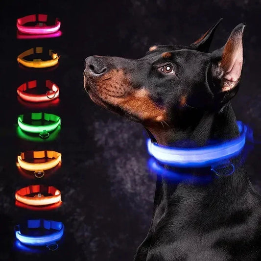 USB-Rechargeable LED Safety Collar