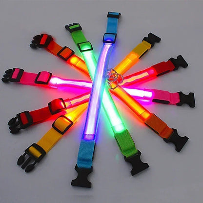 USB-Rechargeable LED Safety Collar