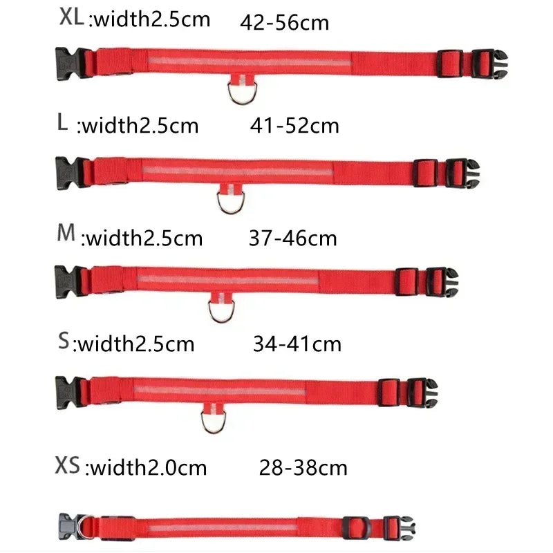 USB-Rechargeable LED Safety Collar