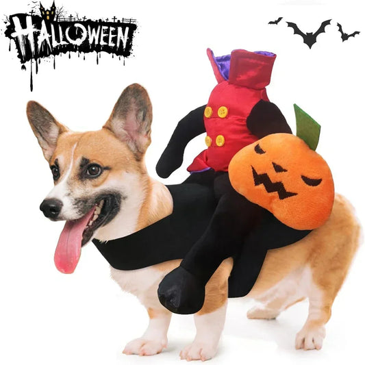 Halloween Pumpkin Dog Costume