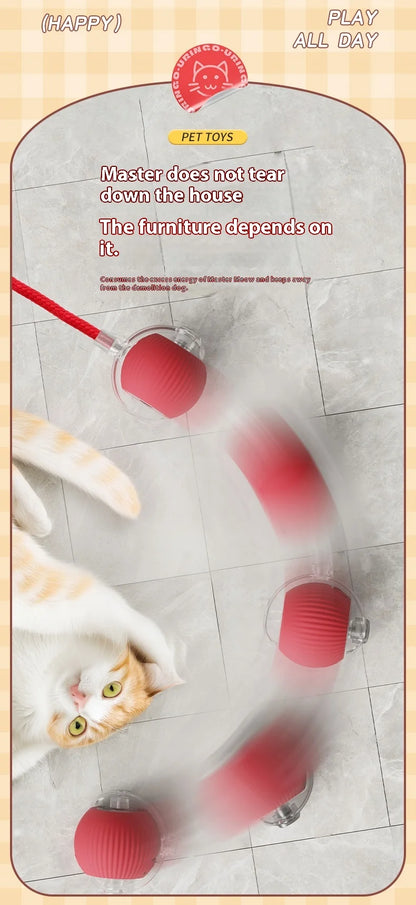 Interactive Electric Ball Cat Toy