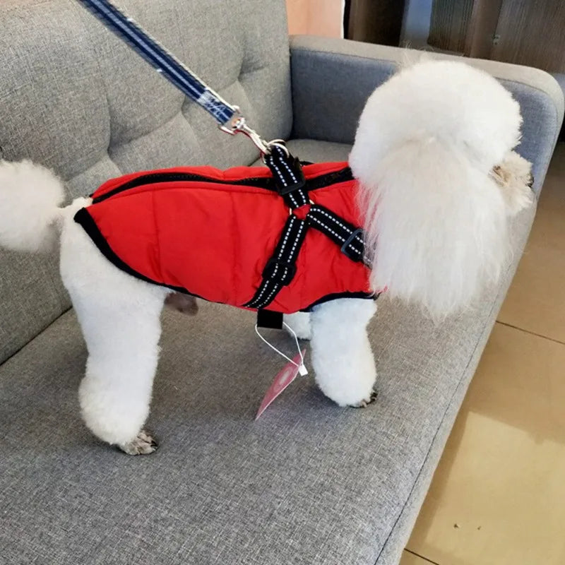 Winter Dog Jacket