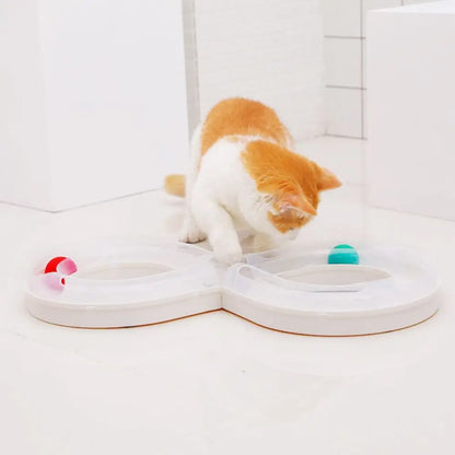 Cat Tunnel Funny Cat Fun