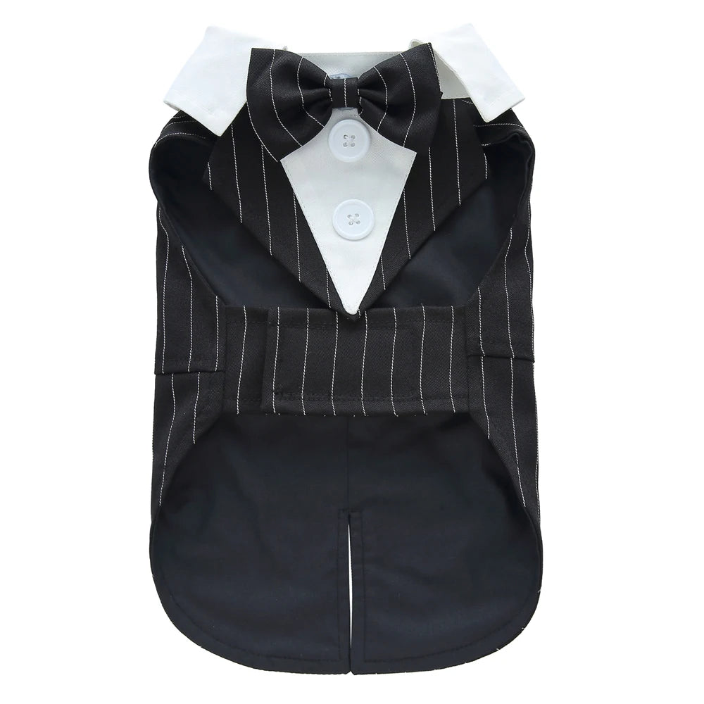 Dog Tuxedo Halloween Costume