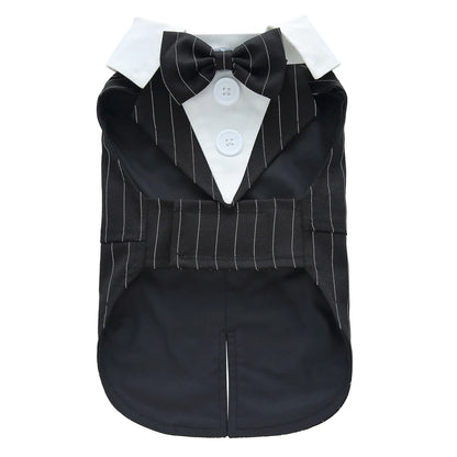Dog Tuxedo Halloween Costume