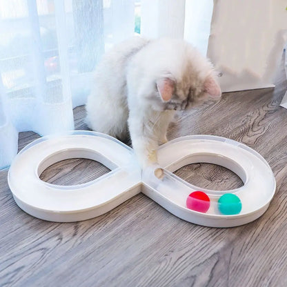 Cat Tunnel Funny Cat Fun