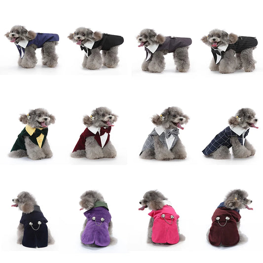 Dog Tuxedo Halloween Costume