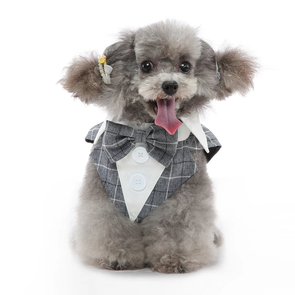 Dog Tuxedo Halloween Costume