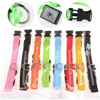 USB-Rechargeable LED Safety Collar