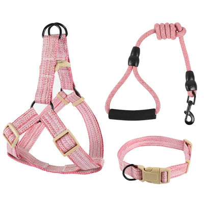 Dog Harness, Leash & Bow Set