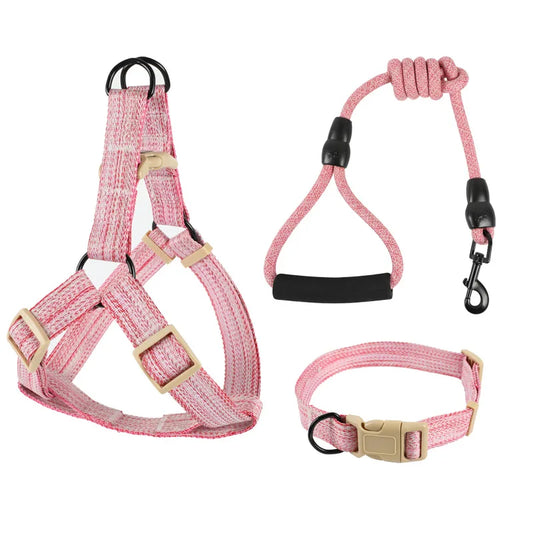 Dog Harness, Leash & Bow Set