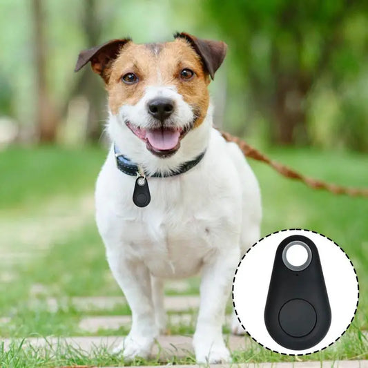 Smart Mini GPS Tracker for Cats or Dogs