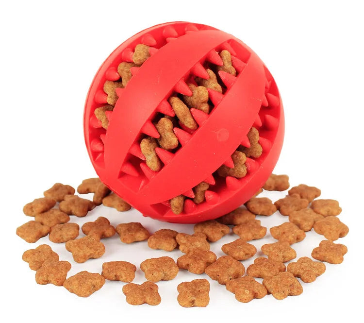 Durable Dog Chew Toy