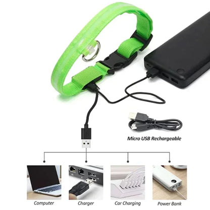 USB-Rechargeable LED Safety Collar