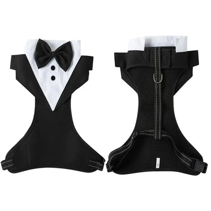 Dogs Tuxedo Wedding Party Suit