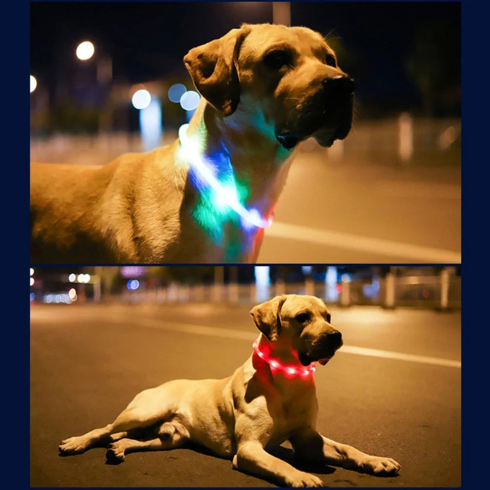 Led Glowing Dog Collar Pet