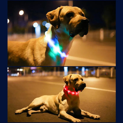 Led Glowing Dog Collar Pet