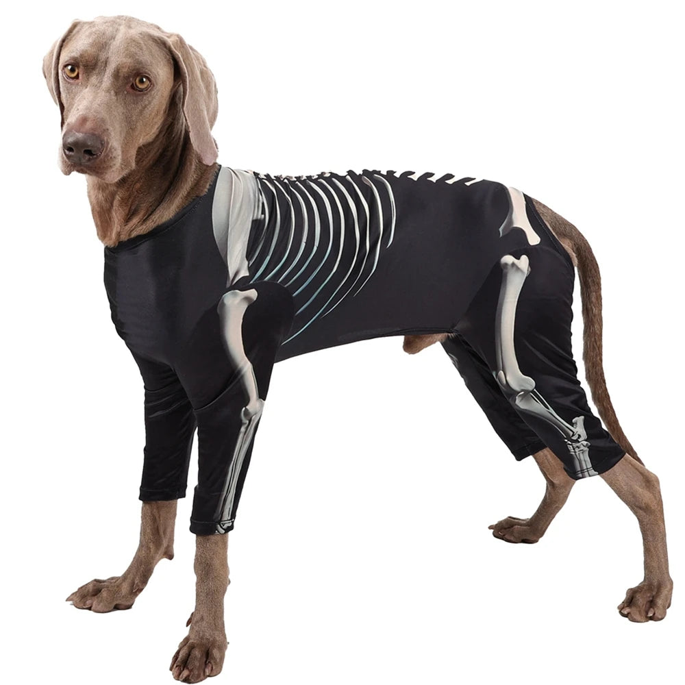 Halloween Skeleton Dog Costumes for larger dogs