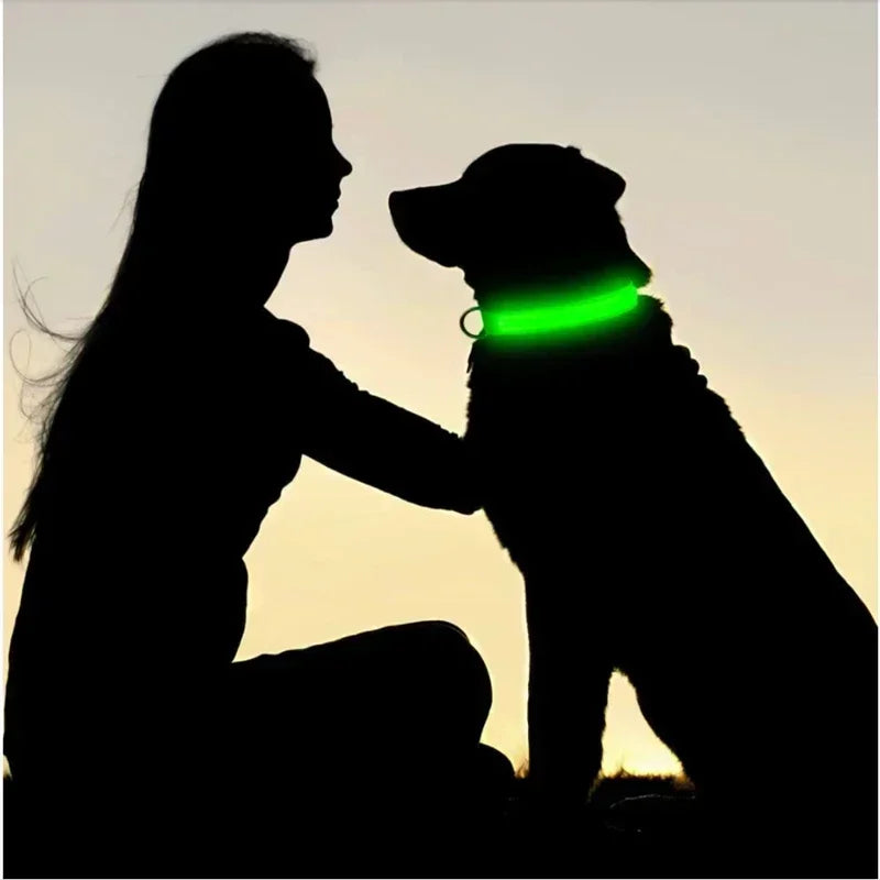 USB-Rechargeable LED Safety Collar