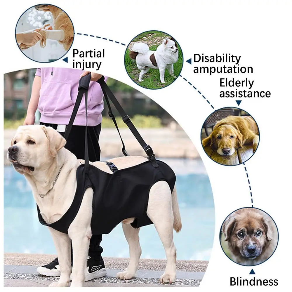 Pet Rehabilitation Sling Pet Rehabilitation Lift Vest Thicke