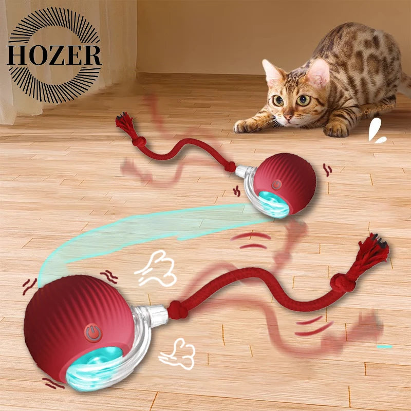 Interactive Electric Ball Cat Toy