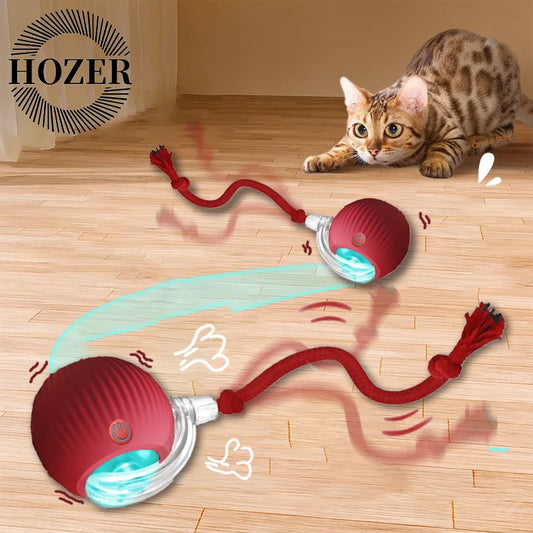 Interactive Electric Ball Cat Toy
