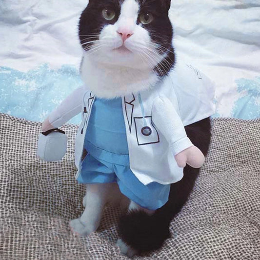Halloween Doctor Cat Costume