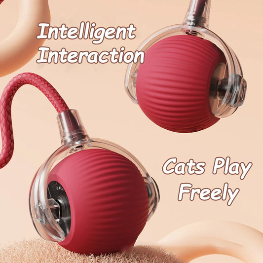 Interactive Electric Ball Cat Toy