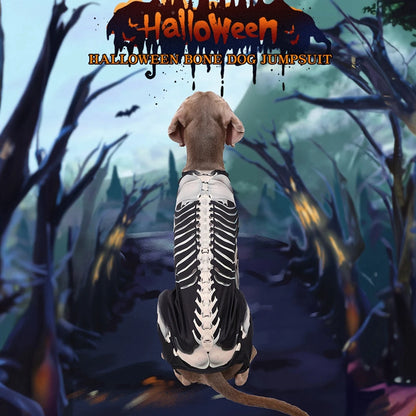 Halloween Skeleton Dog Costumes for larger dogs