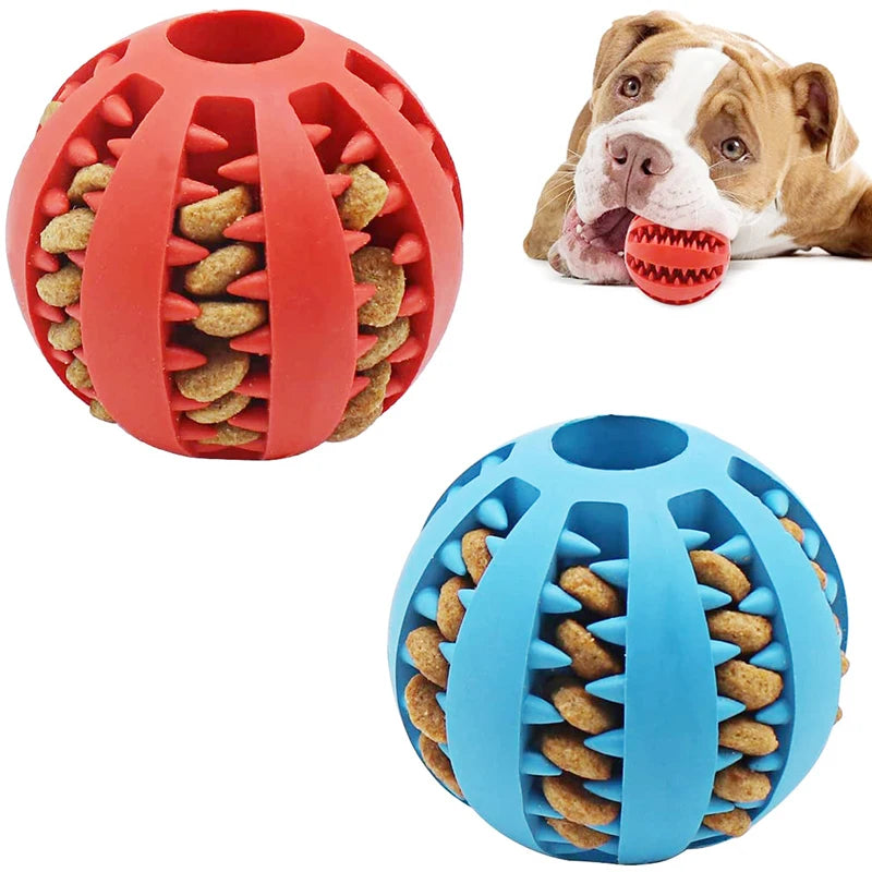 Durable Dog Chew Toy