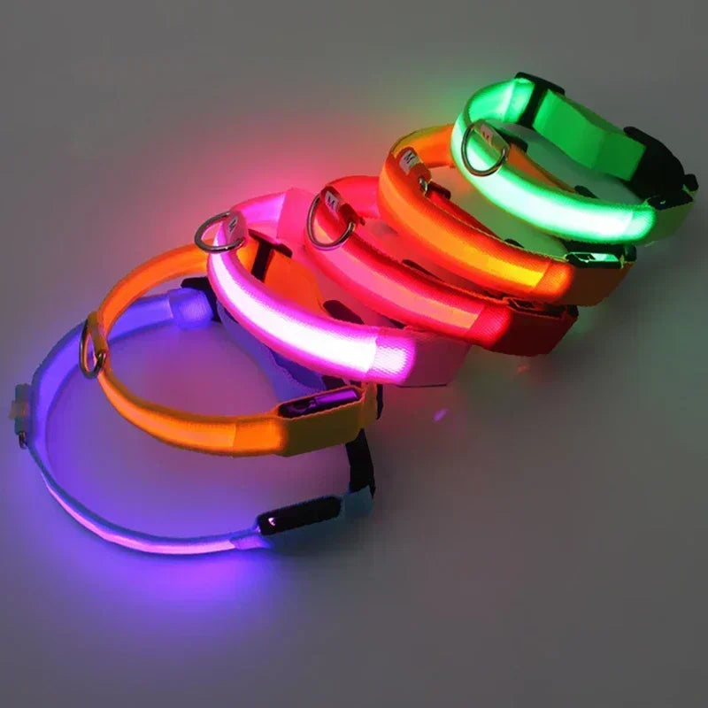USB-Rechargeable LED Safety Collar