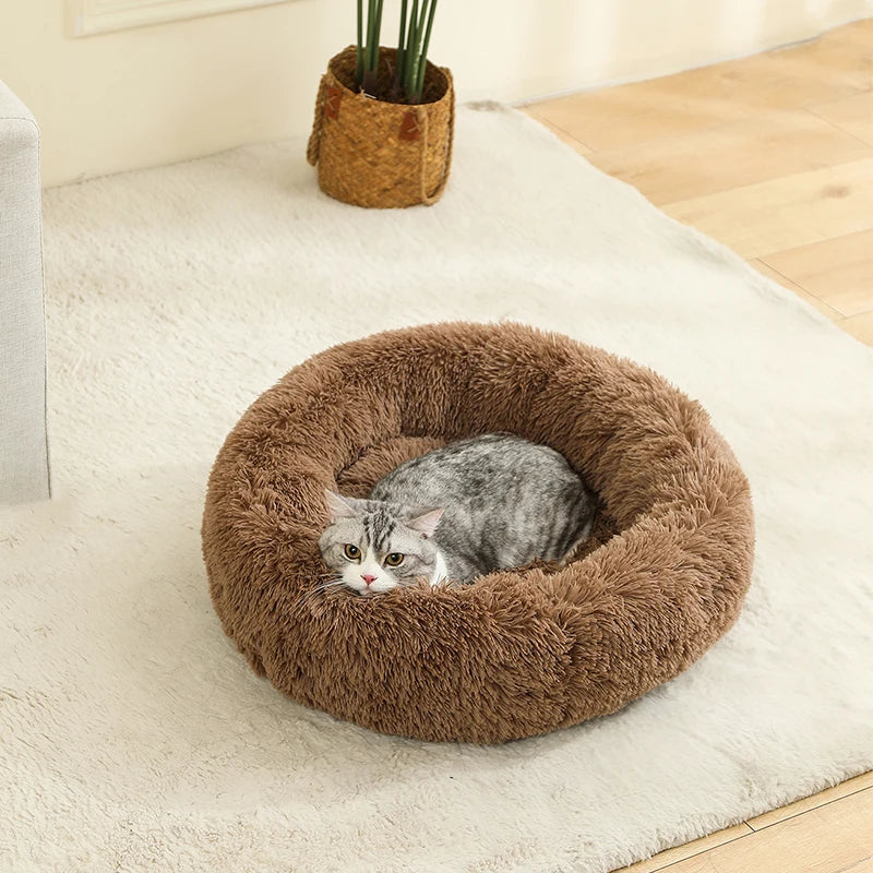 Soft Dog Beds House Soft