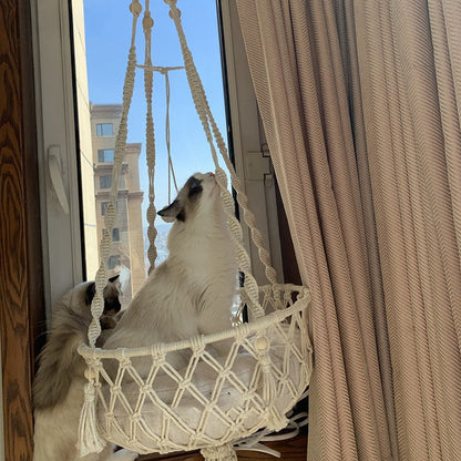 Pet Hammock Cat Swing Hand