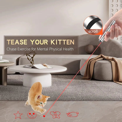3 In 1 Cat Playing
