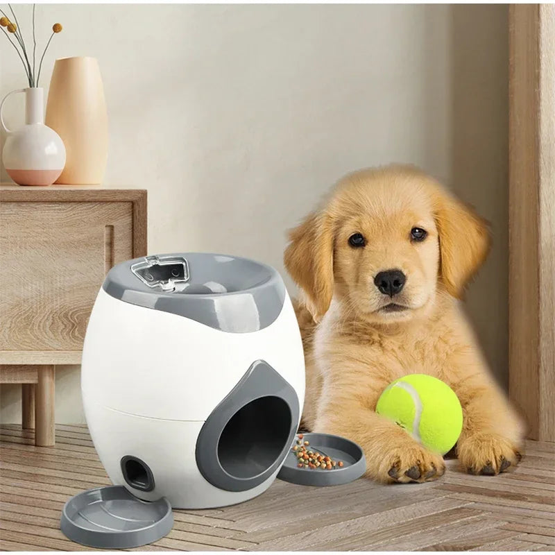 Bone Chew Toy & Treat Dispenser